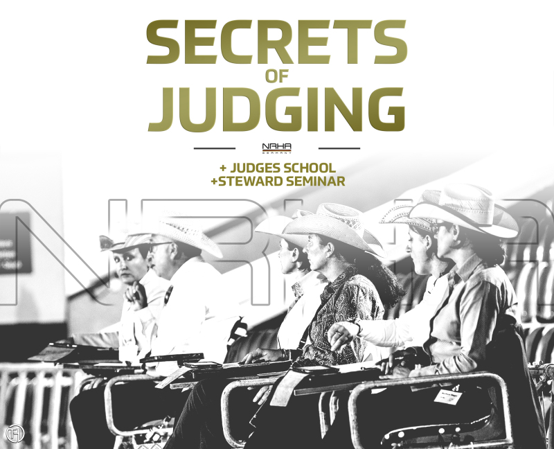 „The Secrets of Judging“ – ein NRHA Germany Workshop für jedermann
