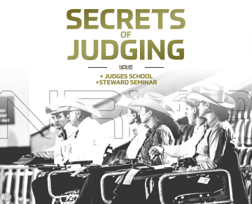 "The Secrets of Judging" - an NRHA Germany workshop for everyone