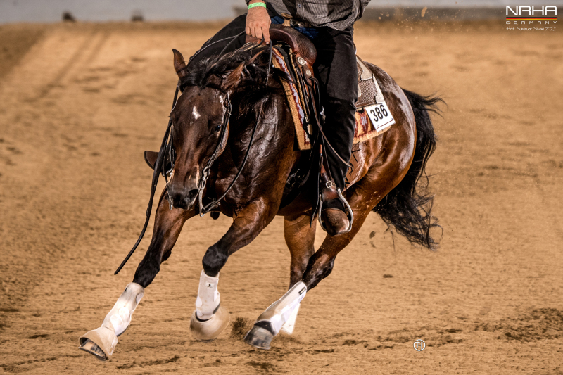 NRHA Germany Breeders Futurity 2021 – The Event for Reining-Youngster