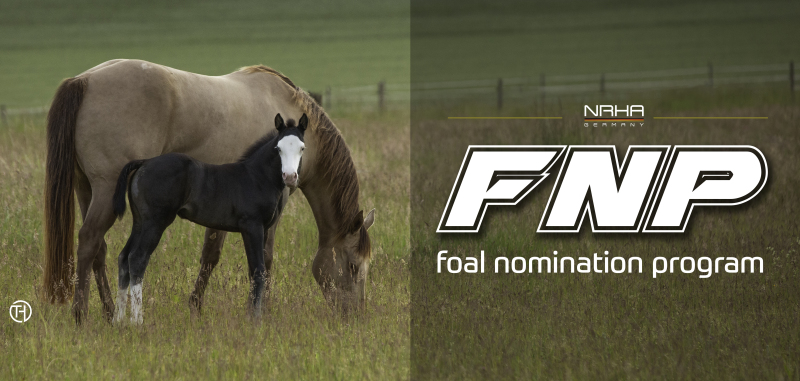 Foal nomination until January 10th 2022