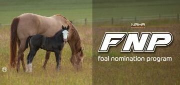Foal nomination still possible until January 10, 2022